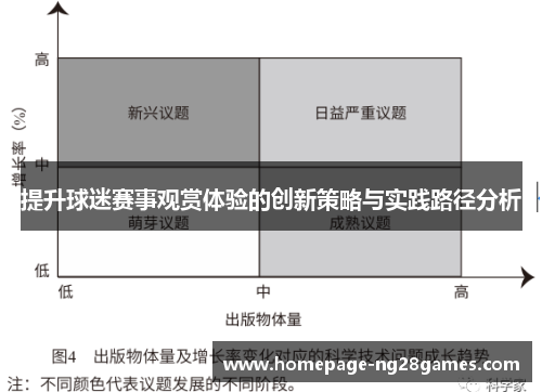 提升球迷赛事观赏体验的创新策略与实践路径分析