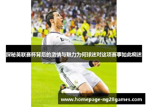 探秘英联赛杯背后的激情与魅力为何球迷对这项赛事如此痴迷