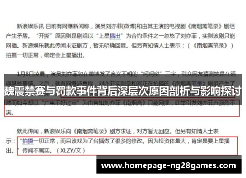 魏震禁赛与罚款事件背后深层次原因剖析与影响探讨