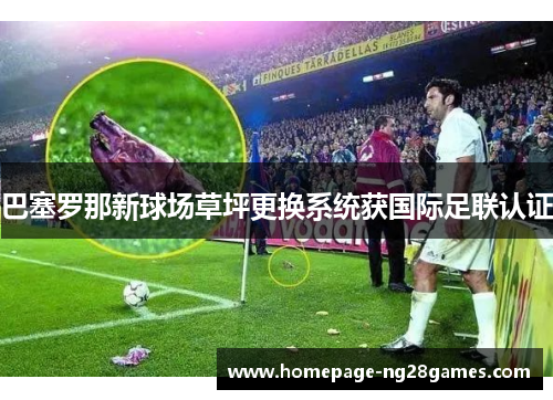巴塞罗那新球场草坪更换系统获国际足联认证