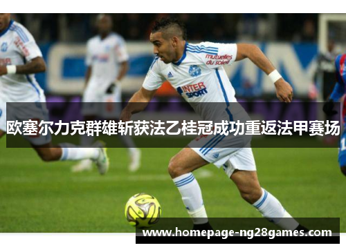 欧塞尔力克群雄斩获法乙桂冠成功重返法甲赛场 欧塞尔力克群雄斩获法乙桂冠成功重返法甲赛场
