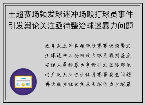 土超赛场频发球迷冲场殴打球员事件引发舆论关注亟待整治球迷暴力问题 土超赛场频发球迷冲场殴打球员事件引发舆论关注亟待整治球迷暴力问题